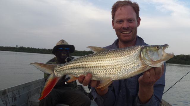 Tigerbashia Fish Species hunters - Pictures